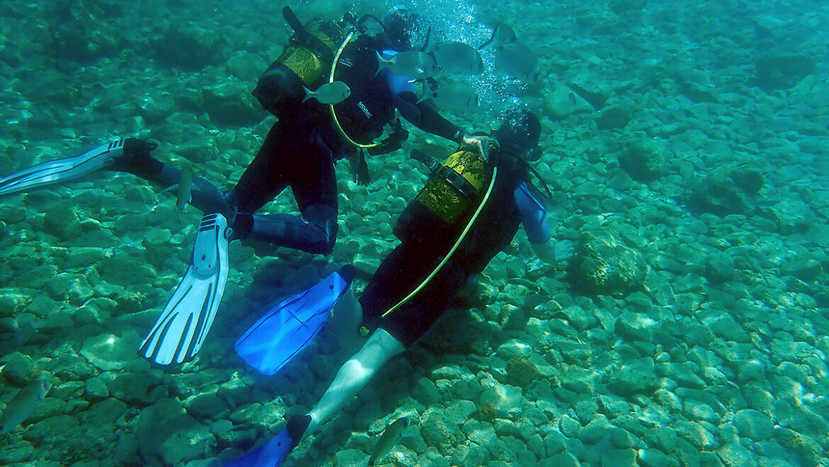 Bodrum – Dalış