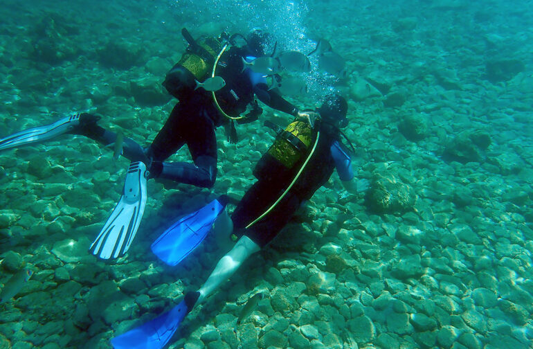 Bodrum – Dalış