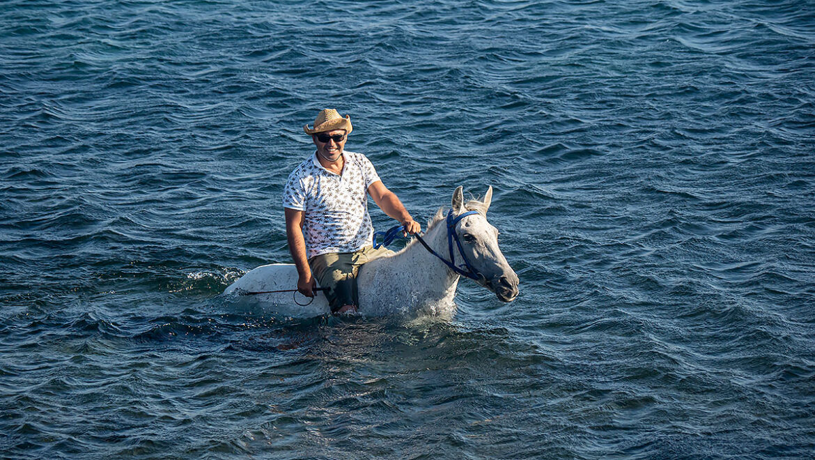 Bodrum – Binicilik